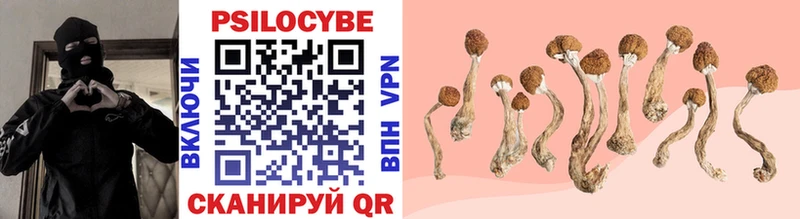 Псилоцибиновые грибы прущие грибы Ессентуки