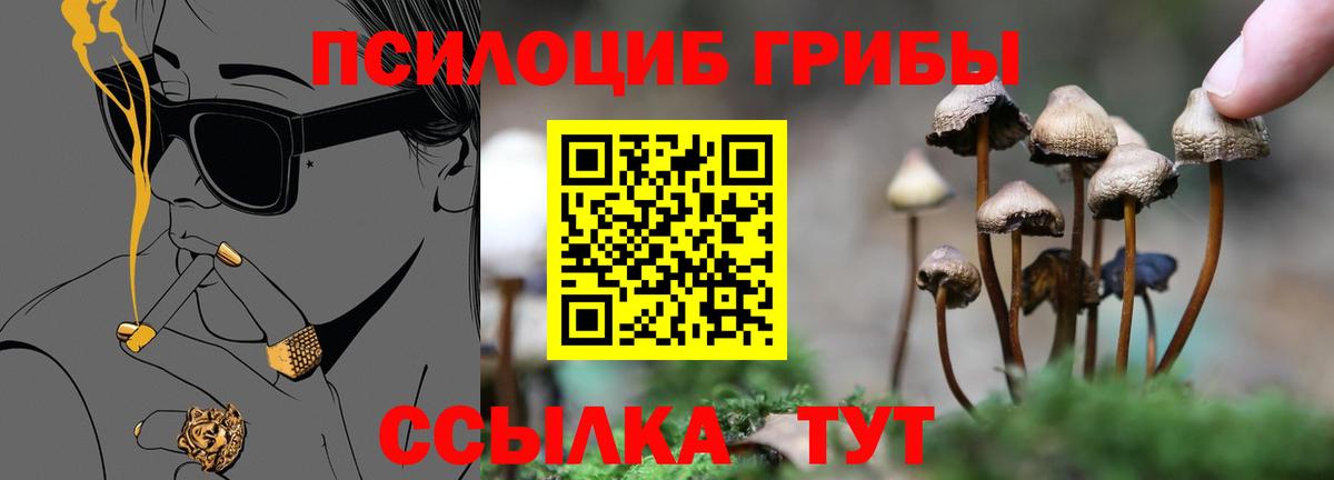 Галлюциногенные грибы MAGIC MUSHROOMS Ессентуки