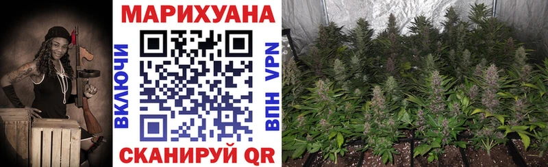 kraken ТОР  Ессентуки  Марихуана SATIVA & INDICA  закладка 
