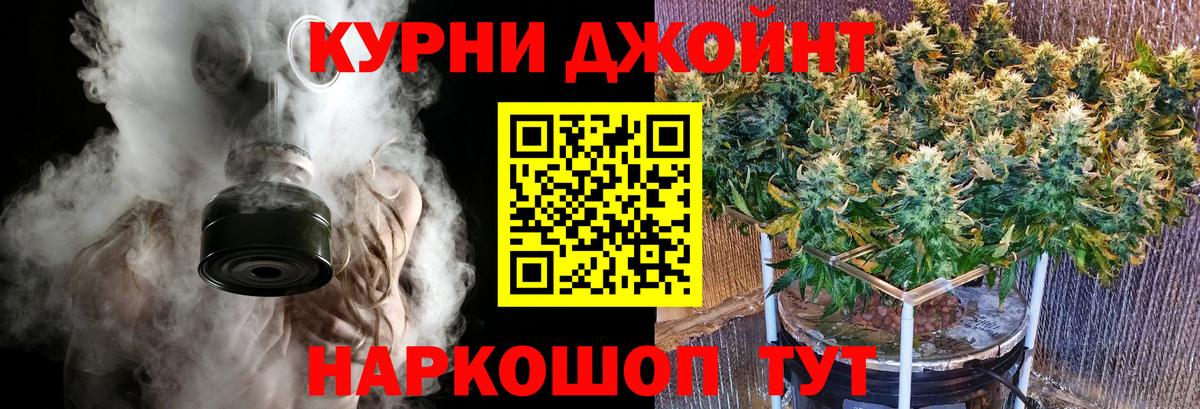 Ессентуки  Бошки Шишки White Widow  Вход с VPN  Шишки марихуана марихуана  Каннабис индика 